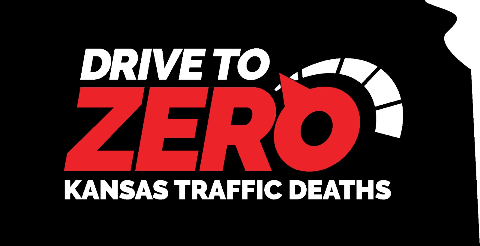Drive To Zero Program Logo